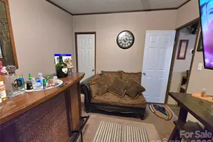 221 Turkey Pen Gap Rd, Mills River, NC 28742 - Photo 16