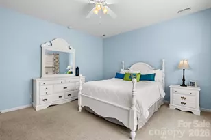 23113 Whimbrel Cir, Indian Land, SC 29707 - Photo 16
