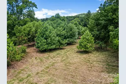 9999 Lollis Road, Candler, NC 28715 - Photo 12