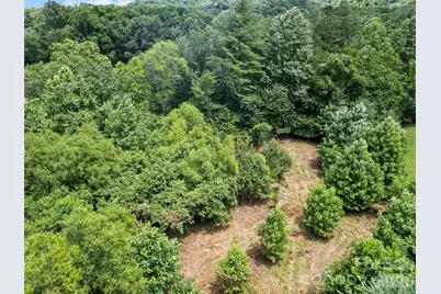 9999 Lollis Road, Candler, NC 28715 - Photo 14