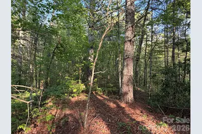 000 Howard Edwards Road, Robbinsville, NC 28771 - Photo 12