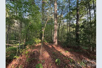 000 Howard Edwards Road, Robbinsville, NC 28771 - Photo 6
