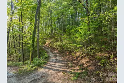 000 Howard Edwards Road, Robbinsville, NC 28771 - Photo 4