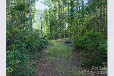 000 Mountain Laurel Lane, Fletcher, NC 28732 - Photo 4