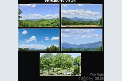 0 Shady Bark Lane #46, Rutherfordton, NC 28139 - Photo 10