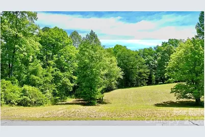 0 Shady Bark Lane #46, Rutherfordton, NC 28139 - Photo 4