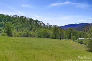 0 Odoms Chapel Rd, Bakersville, NC 28705 - Photo 26