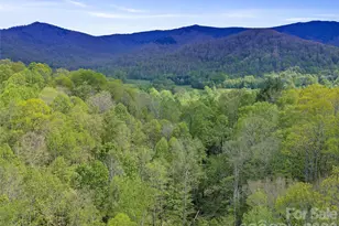 0 Odoms Chapel Rd, Bakersville, NC 28705 - Photo 20