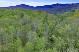 0 Odoms Chapel Rd, Bakersville, NC 28705 - Photo 18