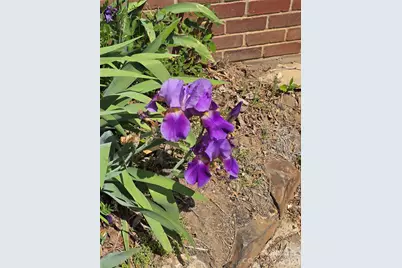 184 Cabarrus Avenue E, Concord, NC 28025 - Photo 36