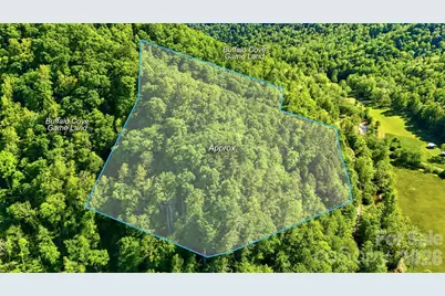 0 Buffalo Cove Road, Lenoir, NC 28645 - Photo 6