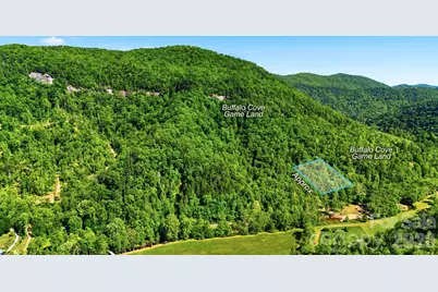 0 Buffalo Cove Road, Lenoir, NC 28645 - Photo 10