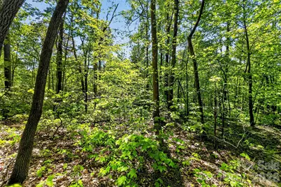 7 Gateway Parkway, Old Fort, NC 28762 - Photo 24