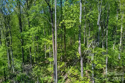 7 Gateway Parkway, Old Fort, NC 28762 - Photo 16