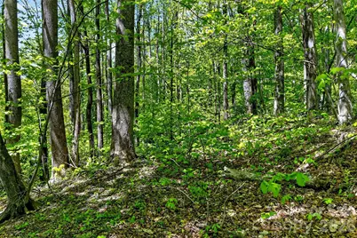 7 Gateway Parkway, Old Fort, NC 28762 - Photo 22