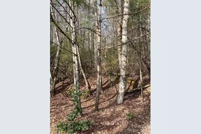 000 Waterford Place, Brevard, NC 28712 - Photo 8