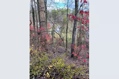 000 Waterford Place, Brevard, NC 28712 - Photo 1