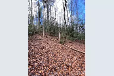 000 Waterford Place, Brevard, NC 28712 - Photo 2