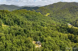 184 Sandys Home Pl, Mars Hill, NC 28754 - Photo 32