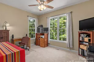 232 Wild Haven Way, Mill Spring, NC 28756 - Photo 24