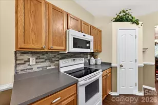 16046 Stuarts Draft Ct, Charlotte, NC 28278 - Photo 12