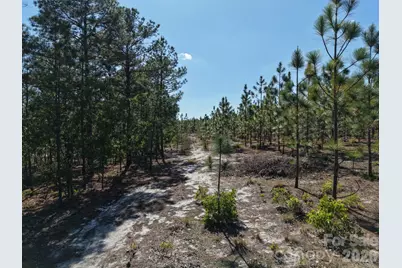 0000 Mt Olivet Church Road, Patrick, SC 29584 - Photo 4