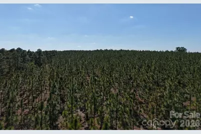 0000 Mt Olivet Church Road, Patrick, SC 29584 - Photo 30