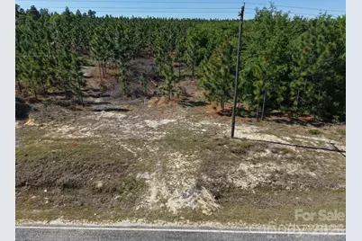 0000 Mt Olivet Church Road, Patrick, SC 29584 - Photo 14