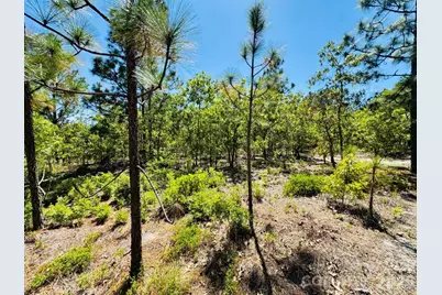 0000 Mt Olivet Church Road, Patrick, SC 29584 - Photo 22