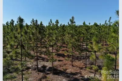 0000 Mt Olivet Church Road, Patrick, SC 29584 - Photo 16