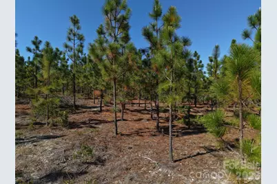 0000 Mt Olivet Church Road, Patrick, SC 29584 - Photo 18