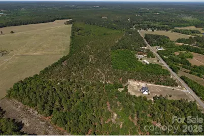 0000 Mt Olivet Church Road, Patrick, SC 29584 - Photo 2