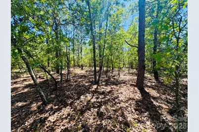0000 Mt Olivet Church Road, Patrick, SC 29584 - Photo 10