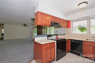 88 Botany Drive, Asheville, NC 28805 - Photo 10