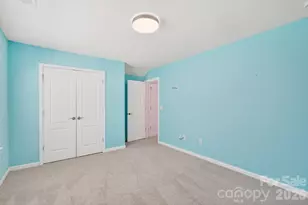 418 Brier Knob Dr, Fort Mill, SC 29715 - Photo 36
