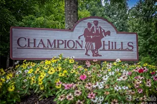 100 Falls Summit Rd, Hendersonville, NC 28739 - Photo 44