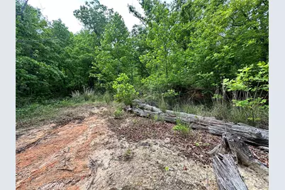 99999 Bird Creek Estates Road, Black Mountain, NC 28711 - Photo 6
