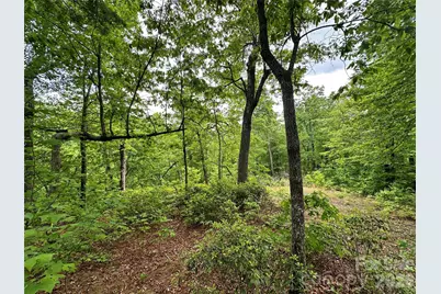 99999 Bird Creek Estates Road, Black Mountain, NC 28711 - Photo 28