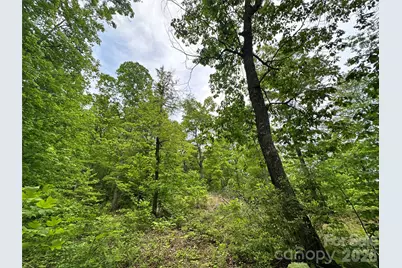 99999 Bird Creek Estates Road, Black Mountain, NC 28711 - Photo 30