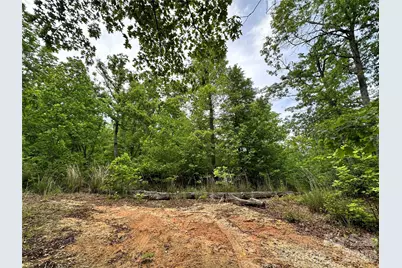 99999 Bird Creek Estates Road, Black Mountain, NC 28711 - Photo 4