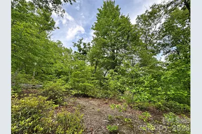 99999 Bird Creek Estates Road, Black Mountain, NC 28711 - Photo 22