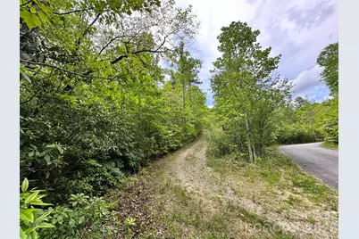 99999 Bird Creek Estates Road, Black Mountain, NC 28711 - Photo 42