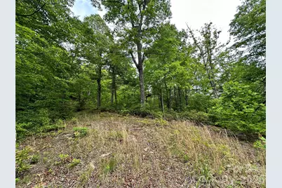 99999 Bird Creek Estates Road, Black Mountain, NC 28711 - Photo 12