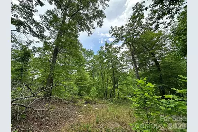 99999 Bird Creek Estates Road, Black Mountain, NC 28711 - Photo 14