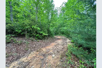 99999 Bird Creek Estates Road, Black Mountain, NC 28711 - Photo 8