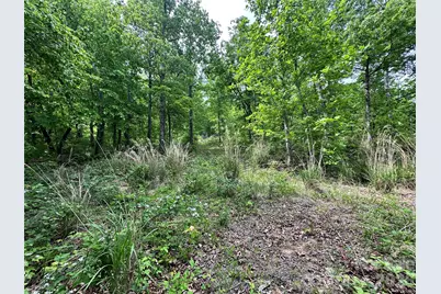 99999 Bird Creek Estates Road, Black Mountain, NC 28711 - Photo 38