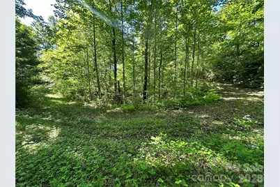 99999 Bird Creek Estates Road, Black Mountain, NC 28711 - Photo 46