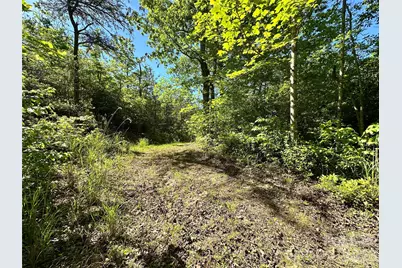 99999 Bird Creek Estates Road, Black Mountain, NC 28711 - Photo 48