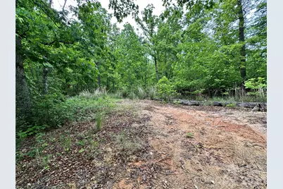 99999 Bird Creek Estates Road, Black Mountain, NC 28711 - Photo 2