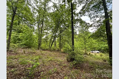 99999 Bird Creek Estates Road, Black Mountain, NC 28711 - Photo 26